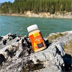 Барсучий жир с алтайским медом