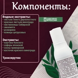 ВиВагель для вен и капилляров, купить