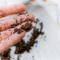 Скраб для тела, кофейный, натуральный «Кофе»