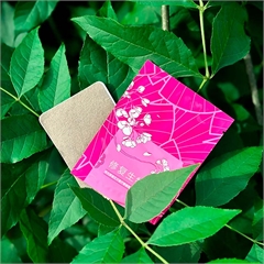 Биостикер гинекологический при нарушениях женского здоровья Биостикер гинекологический при нарушениях женского здоровья